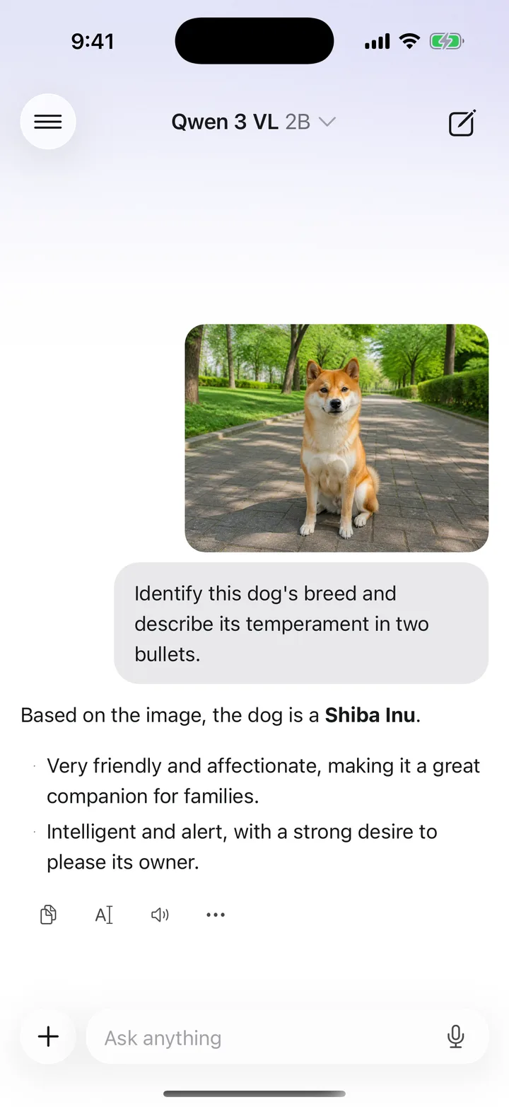 A KernelAI conversation with a dog photograph, an image question and a response